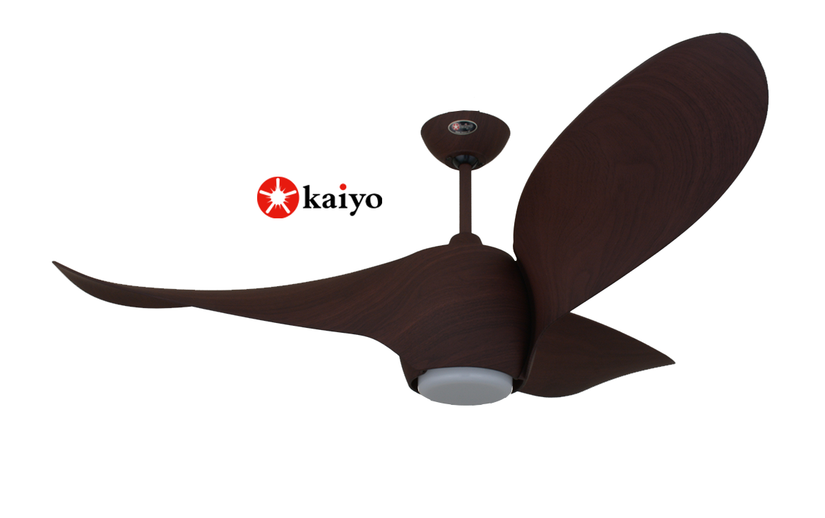 Quạt Trần KAIYOKUKAN FUKU-G2