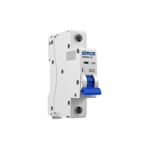Aptomat Cắt 6000A 1P
