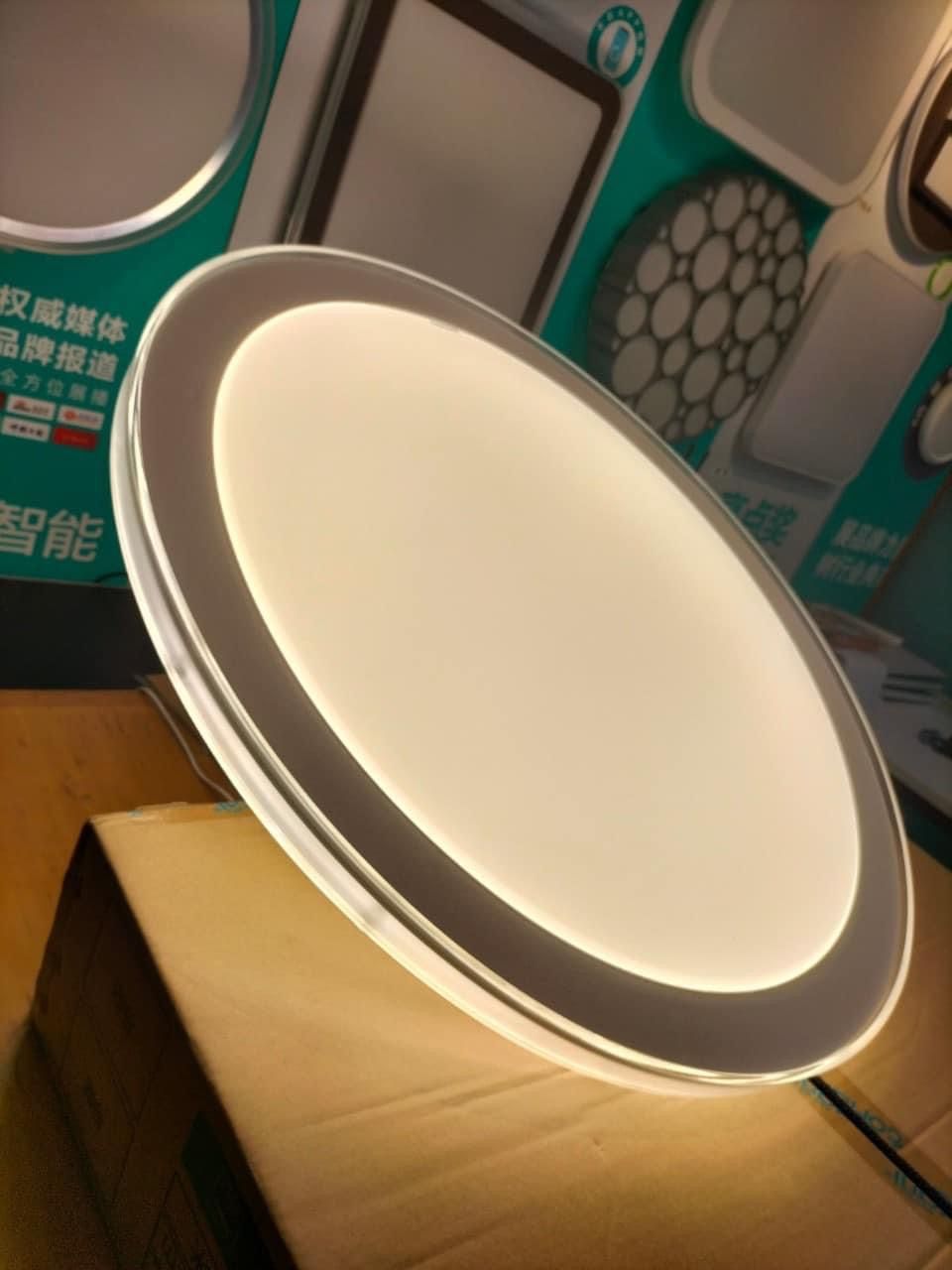Đèn Ốp Trần T8