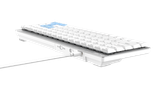 Bàn phím cơ không dây DAREU EK868 WHITE 68KEY (SLIM, Brown/ Red D-KAILH switch)