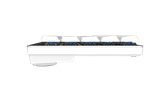 Bàn phím cơ không dây DAREU EK868 WHITE 68KEY (SLIM, Brown/ Red D-KAILH switch)