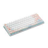Bàn phím Gaming Rapoo MT510PRO