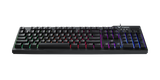 Bàn phím Gaming Rapoo V50S USB 2.0