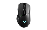 Chuột Gaming Rapoo VT350S