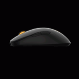 Chuột Gaming Rapoo V16 PRO