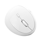 Chuột không dây DAREU LM158D (ERGO - Dual Mode: Bluetooth + 2.4G)