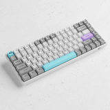 Bàn phím cơ AKKO 3084B Plus Silent (Bluetooth 5.0 / Wireless 2.4Ghz / Hotswap / Foam tiêu âm / AKKO CS Jelly sw)