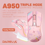 Chuột không dây Gaming DAREU A950 TRIPLE MODE (BLACK / PINK) - SUPERLIGHT, FAST CHARING DOCK