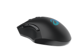 Chuột không dây Gaming DAREU EM905 PRO - BLACK (LED RGB, BRAVO sensor)