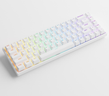 Bàn phím AKKO 3068 v2 RGB – White (Foam tiêu âm / Hotswap / AKKO CS Jelly switch)