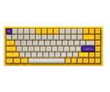 Bàn phím cơ AKKO 3084 v2 ASA – Los Angeles (AKKO CS switch / Hotswap / Foam tiêu âm)