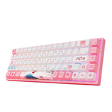 Bàn phím cơ AKKO 3068 v2 World Tour Tokyo R2 RGB – Bluetooth 5.0 (Gateron switch / Foam tiêu âm / Pre-Lubed)