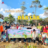 TRỒNG RỪNG - ĐẮK LẮK - 2N2Đ