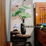 Mã Hoa Sen 02 TRANH TRÁNG GƯƠNG CAO CẤP Tranh Phong Cảnh và Hoa Sen Phong Thủy Treo Tường