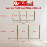 Tranh Decor Treo Tường Tráng Gương Bộ 3 Hoa Sen Cá Chép CHÂN THIỆN MỸ, Quà Khai Trương, Trang Trí Phòng Khách CSC-D3-002