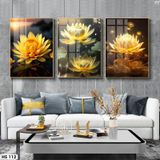 Bộ 3 tranh tráng gương cao cấp. Chủ đề Hoa Sen Phòng Khách Decor Phòng Treo Tường Đồng Decor Tường