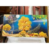 Tranh Tráng Gương “Cây Kim Tiền” In UV5D Cao Cấp, Treo Tường Phòng Khách, Phòng Ngủ, Quà Tặng Tân Gia