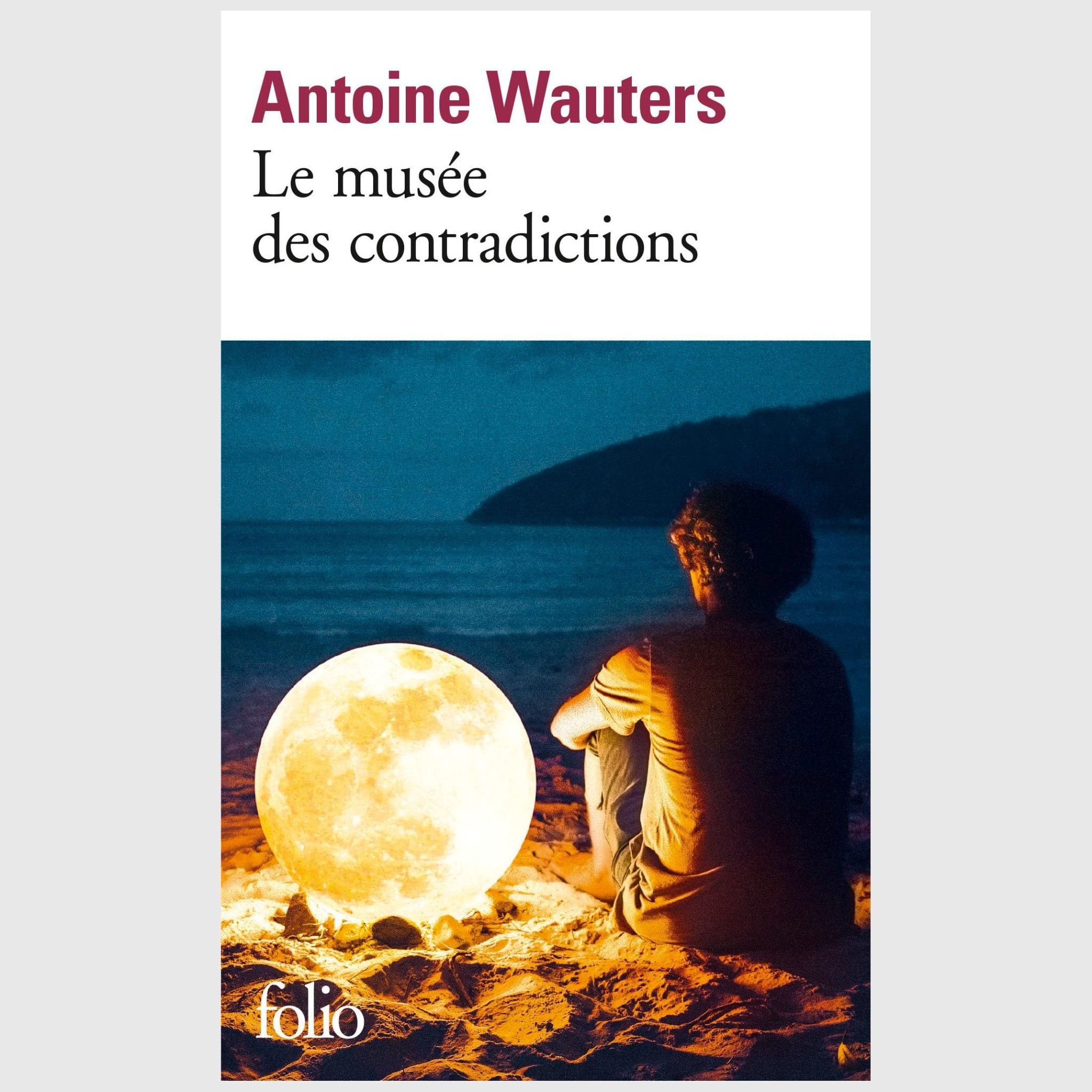 Le Musee Des Contradictions