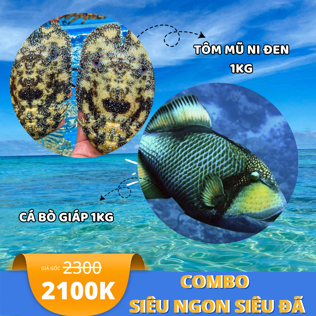Combo Siêu ngon - Siêu đã