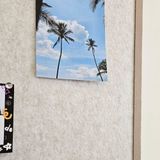 Bảng nỉ dán tường decor không đục lỗ