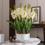 BÌNH HOA LAN HỒ ĐIỆP SANG TRỌNG TRANG TRÍ Thủ công