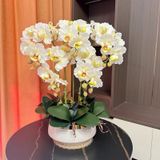 CHẬU HOA LAN TRANG TRÍ CAO CẤP Chất liệu: Hoa PU cao su mềm + cành nhựa