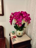 Chậu hoa lan hồ điệp hồng nghệ thuật Chất liệu hoa mô phỏng (lụa/nhựa) bình gốm