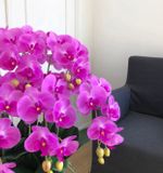 Chậu hoa cảnh mô phỏng Chi Lan hồ điệp Màu sắc: tím/tím nhạt