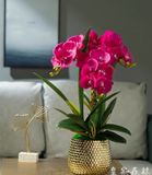 BÌNH HOA LAN TRANG TRÍ CAO CẤP Chất liệu bình hoa: gốm sứ mạ vàng