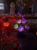 ĐÈN HOA SEN CẢNH NHIỀU MÀU SẮC Chất liệu: Đèn LED + vải lụa sợi quang
