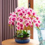 CHẬU LAN HỒ ĐIỆP NHẸ NHÀNG SANG TRỌNG Chất liệu: PU nỉ, chậu hoa bằng gốm