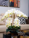 CHẬU HOA LAN TRANG TRÍ SANG TRỌNG Chất liệu sản phẩm: In 3D hoa nhân tạo và chậu hoa gốm sứ