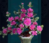 Đồ trang trí cây hoa mẫu đơn bằng ngọc bích BK-ST006500VN-4121