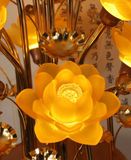 Đèn hoa sen nhiều màu sắc Chất liệu đèn led công suất thấp + kính giả + sơn hợp kim