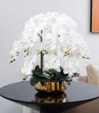 CHẬU HOA LAN HỒ ĐIỆP TRANG TRÍ CAO CẤP Chất liệu bình: sứ mạ vàng