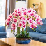 CHẬU LAN HỒ ĐIỆP NHẸ NHÀNG SANG TRỌNG Chất liệu: PU nỉ, chậu hoa bằng gốm