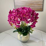 Chậu hoa lan hồ điệp hồng nghệ thuật Chất liệu hoa mô phỏng (lụa/nhựa) bình gốm