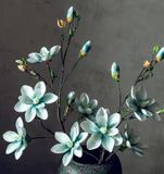 HOA MỘC LAN TRANG TRÍ NỘI THẬT Màu sắc: đỏ hồng, đỏ nhạt, xanh dương, vàng và trắng