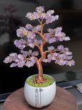 Cây cảnh đá ma thuật trang trí Chất liệu thạch anh tím tự nhiên + dây đồng + đế gốm
