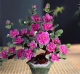 Đồ trang trí cây hoa mẫu đơn bằng ngọc bích BK-ST006500VN-4121