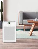 MÁY LỌC KHÔNG KHÍ ĐỂ BÀN HAIER CAO CẤP BK-CE005100VN-3984