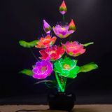 ĐÈN HOA SEN CẢNH SỢI QUANG NHIỀU MÀU SẮC Đèn LED công suất thấp tiết kiệm năng lượng