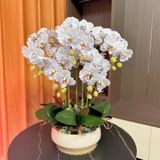 CHẬU HOA LAN TRANG TRÍ CAO CẤP Chất liệu: Hoa PU cao su mềm + cành nhựa