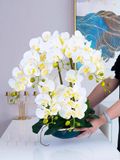 CHẬU HOA LAN TRANG TRÍ SANG TRỌNG Chất liệu sản phẩm: In 3D hoa nhân tạo và chậu hoa gốm sứ