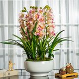 CHẬU HOA ĐỊA LAN TRANG TRÍ CAO CẤP Chất liệu: PU + PVC + loại khác