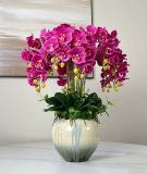 Chậu hoa lan hồ điệp hồng nghệ thuật Chất liệu hoa mô phỏng (lụa/nhựa) bình gốm