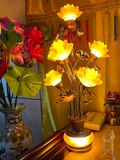 Đèn hoa sen nhiều màu sắc Chất liệu đèn led công suất thấp + kính giả + sơn hợp kim