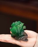 Bắp Cải Đổi Màu Trang Trí