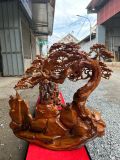Đạt Ma Ngồi Dưới Gốc Tùng Cổ Thụ