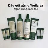 Bộ Dầu Gội Xả Gừng Weilaiya